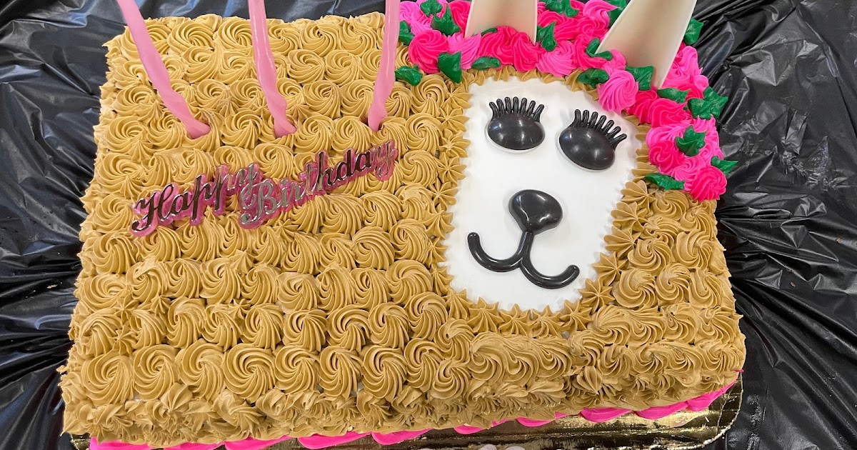 Nevaya's 17th Birthday Party at Defy Trampoline Park