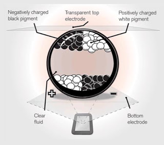 The History of Social Uprisings