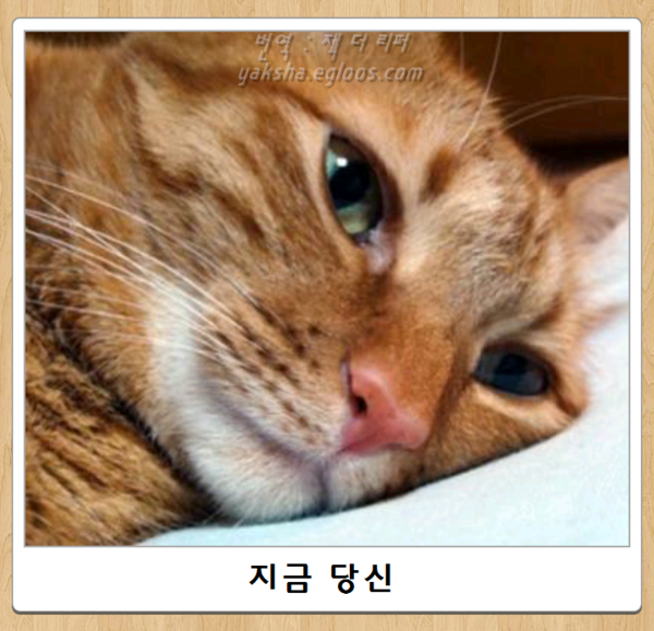 제목학원 근황.jpg7