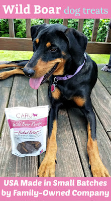 doberman mix rescue dog caru wild boar treats