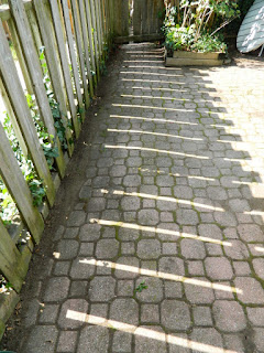 Palmerston Little Italy Toronto Back Yard Garden Clean up after by Paul Jung Gardening Services Palmerston Little Italy Toronto Back Yard Garden Clean up after by Paul Jung Gardening Services