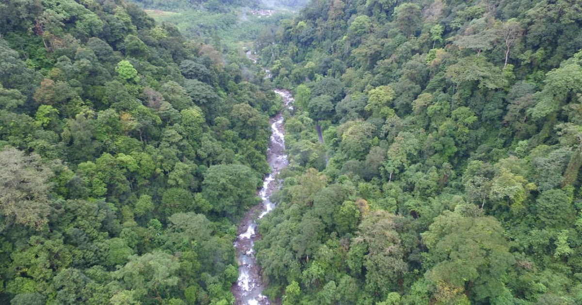 Menggagas Pengelolaan Kolaboratif Hutan Petungkriyono