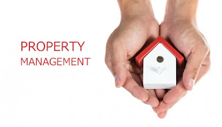 property management experts
