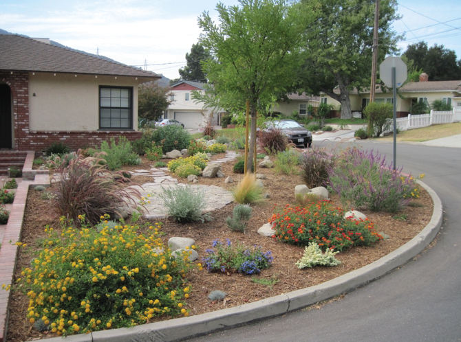 54 Drought Tolerant Front Yard - Domaci Design