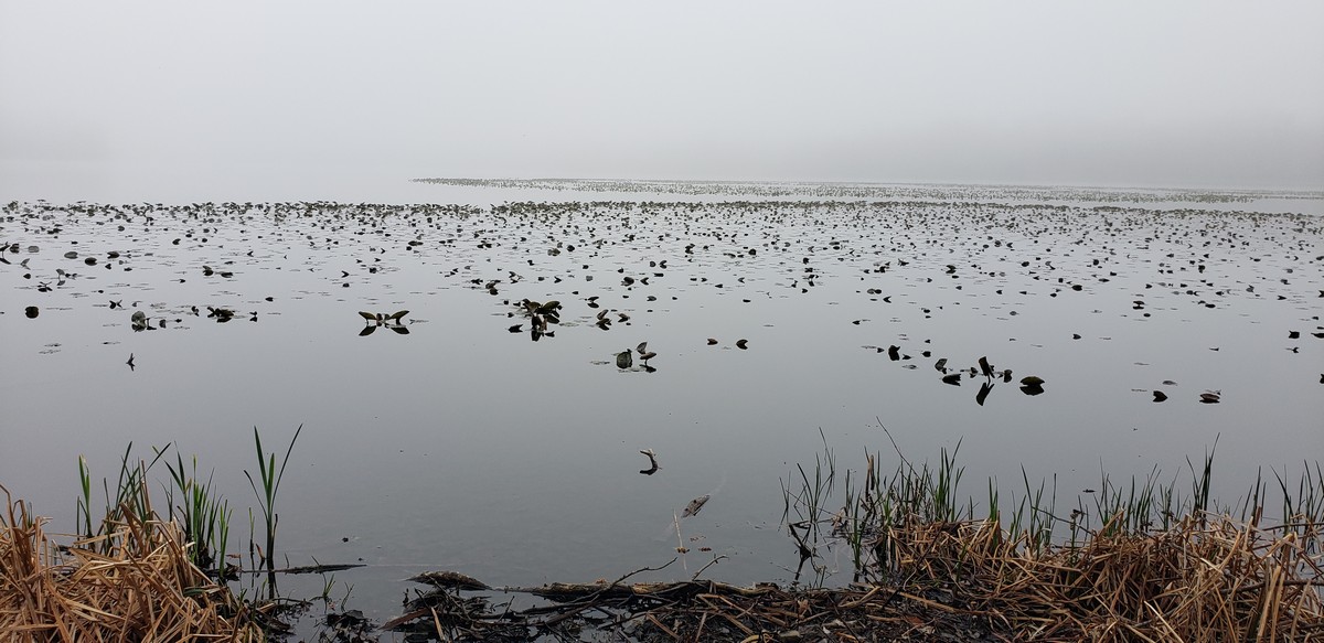 Harriman Hiker Harriman State Park and Beyond Congers Lake Loop Spring Hike