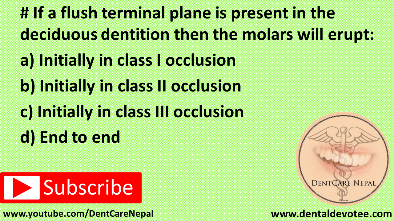 Dentosphere World of Dentistry Flush Terminal Plane
