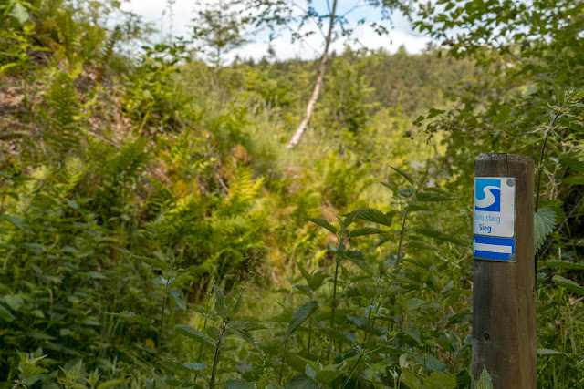 Natursteig Sieg Etappe 13 - Alsdorf - Kirchen | Wandern Naturregion Sieg 05