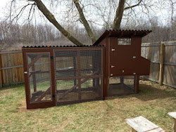 coop chicken door coops easy backyard sliding simple plans build homemade chickens clean building designs suburban portable wood scrap doors