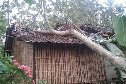 Akibat Hujan Angin Di Desa Kalibaru Wetan, 3 Rumah Rusak Parah 