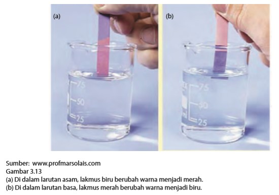 Thedarlingbakers: Kertas Lakmus Pada Larutan Garam
