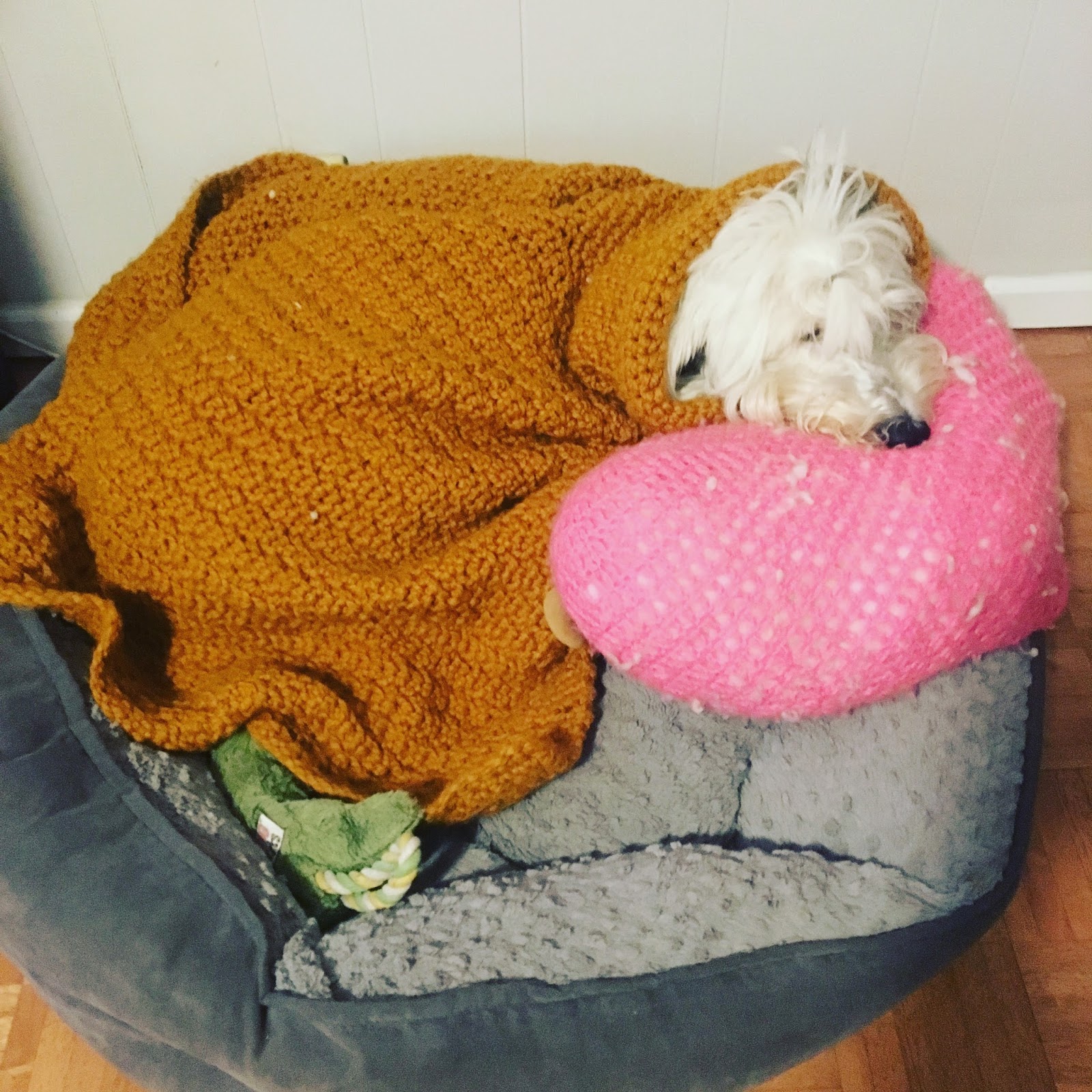 Yarns By Design Blog