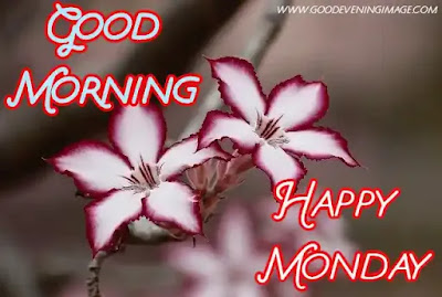 Happy Monday good morning Happy Monday good morning