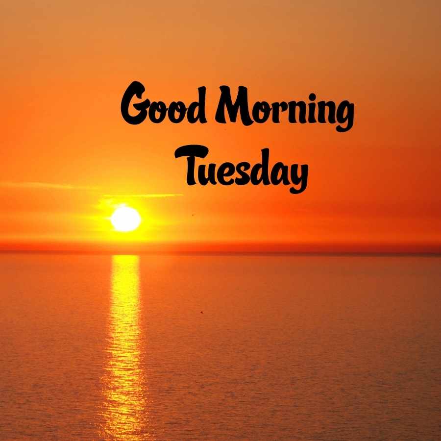 tuesday good morning