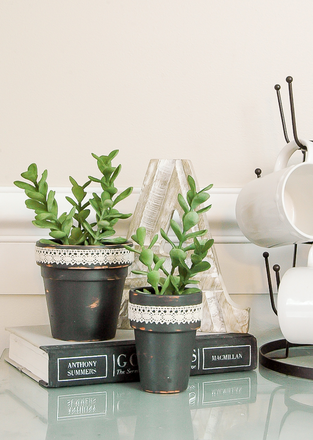 Quick and Affordable Dollar Tree Succulent Pots Little House of Four
