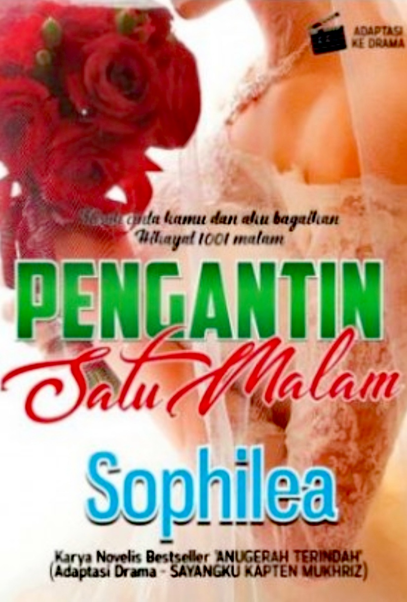 Sinopsis Novel Pengantin Satu Malam Hiburan