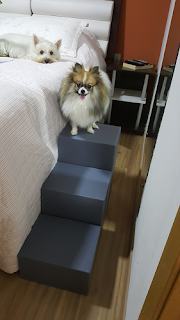 escadas para lulu da pomerânia escadas para lulu da pomerânia
