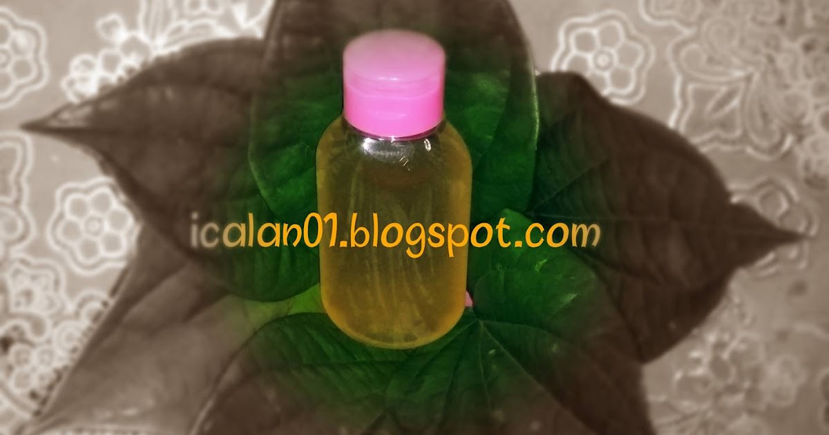 Buat Toner Sendiri Guna Daun Sirih – Petua Lama Yang Relevan Buat Toner Sendiri Guna Daun Sirih – Petua Lama Yang Relevan