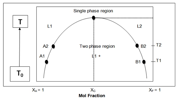 La Chimie est Amusante: Practical Report of Physical Chemistry