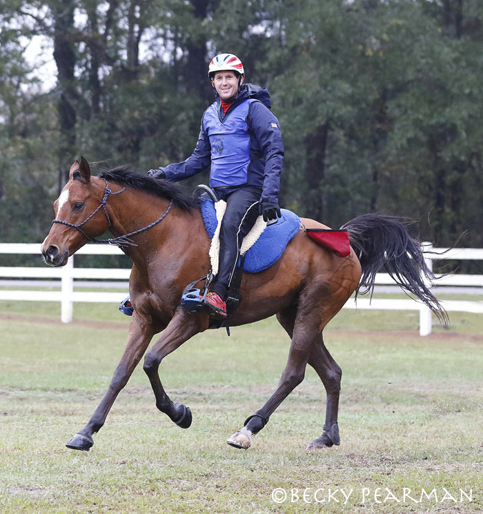 Meet My Endurance Horse Meet My Endurance Horse