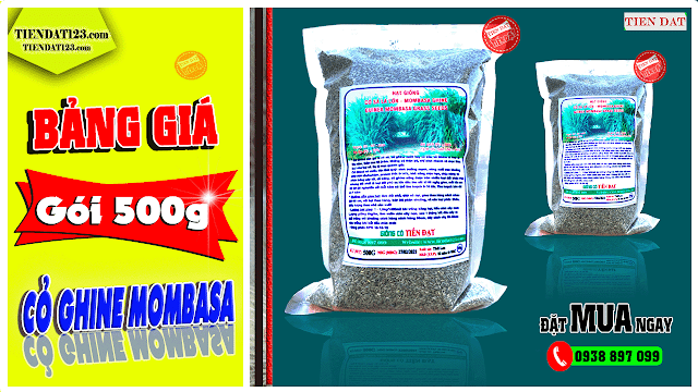 Giá cỏ ghine mombasa lá lớn bao nhiêu tiền gói 500g