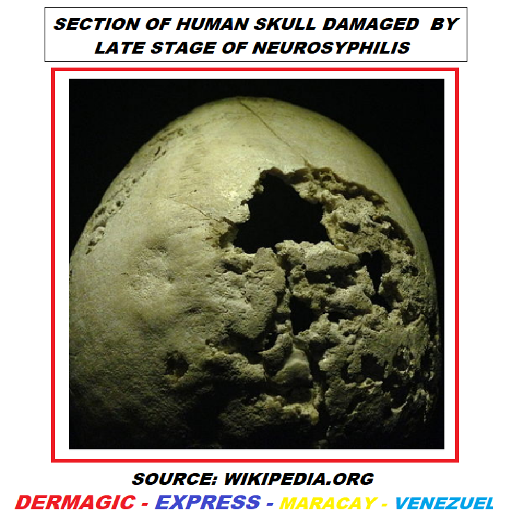 DERMAGIC EXPRESS / Dermatologia y Bibliografia Dermatology