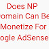 Does Np Domain Can be Monetize for Google AdSense??????