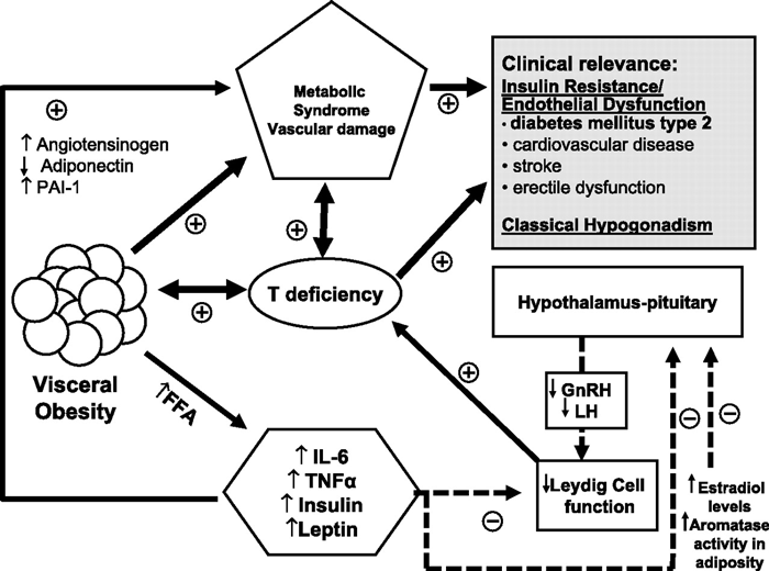 Hello USA testicular hypofunction