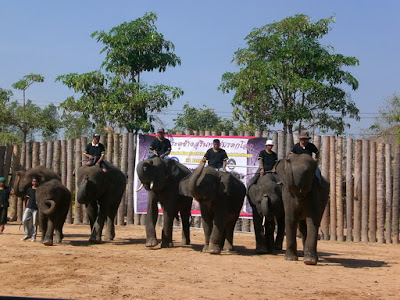 Tha Klang Elephant Village