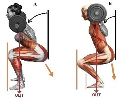 анатомия и биомеханика приседаний со штангой