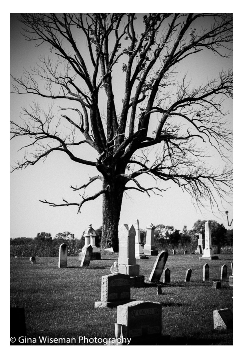 Shelbyville Indiana Forest Hill Cemetery Miller Cemetery Indiana