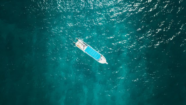Top 10 Quotation on the Theme Survival in the novel Life of Pi by Yann Martel