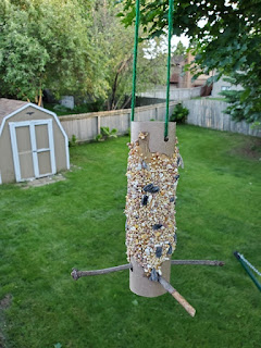 Picture of the bird feeder I made