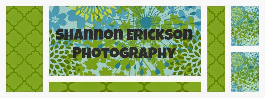Shannon Erickson Photography {Blog}