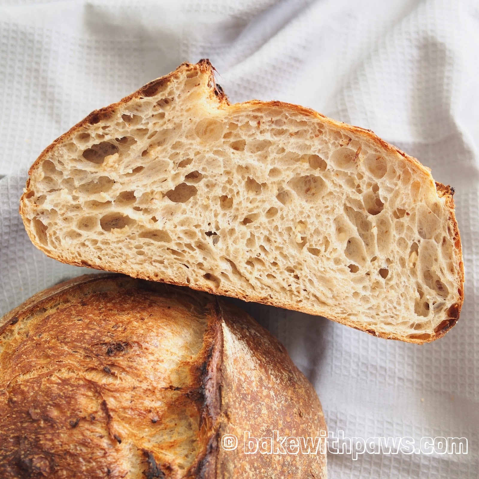Butter Toasted Oat Porridge Sourdough Bread BAKE WITH PAWS