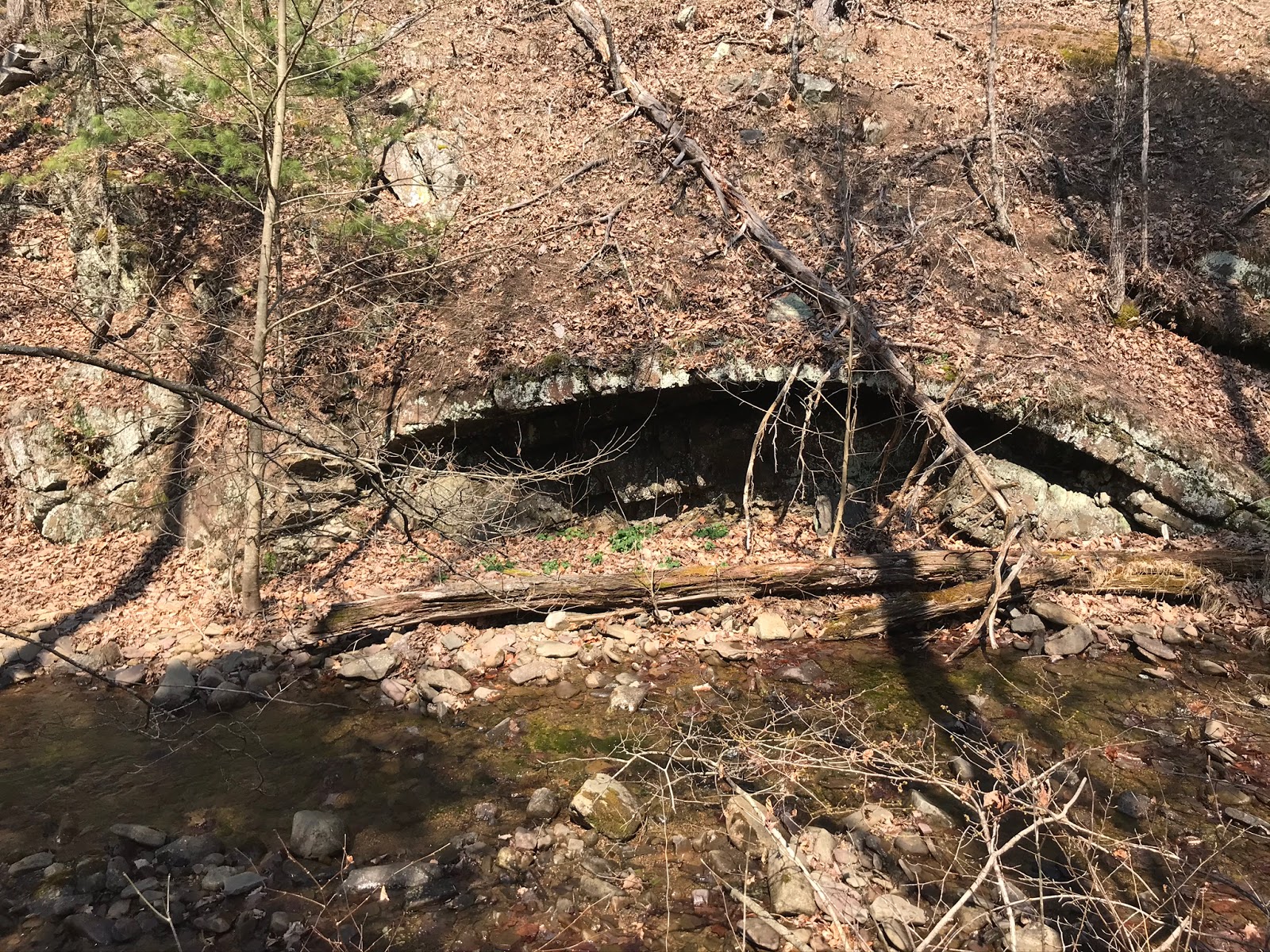 Wandering Virginia Sugar Run Trail GWNF