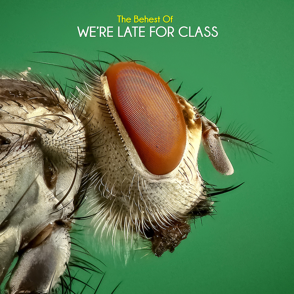 пособия к english singsing. Magic eight ball – sorry we're late but we're worth the wait. успешные переговоры. We re late. стив роджерс fem / тони старк.