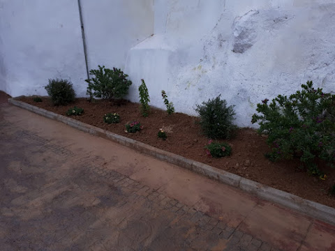 Preparación de terreno para colocar plantas en la población valenciana de Millares