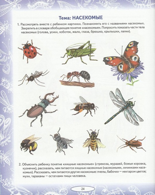 План на неделю в подготовительной группе насекомые
