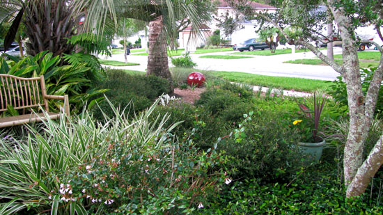 florida native plant society