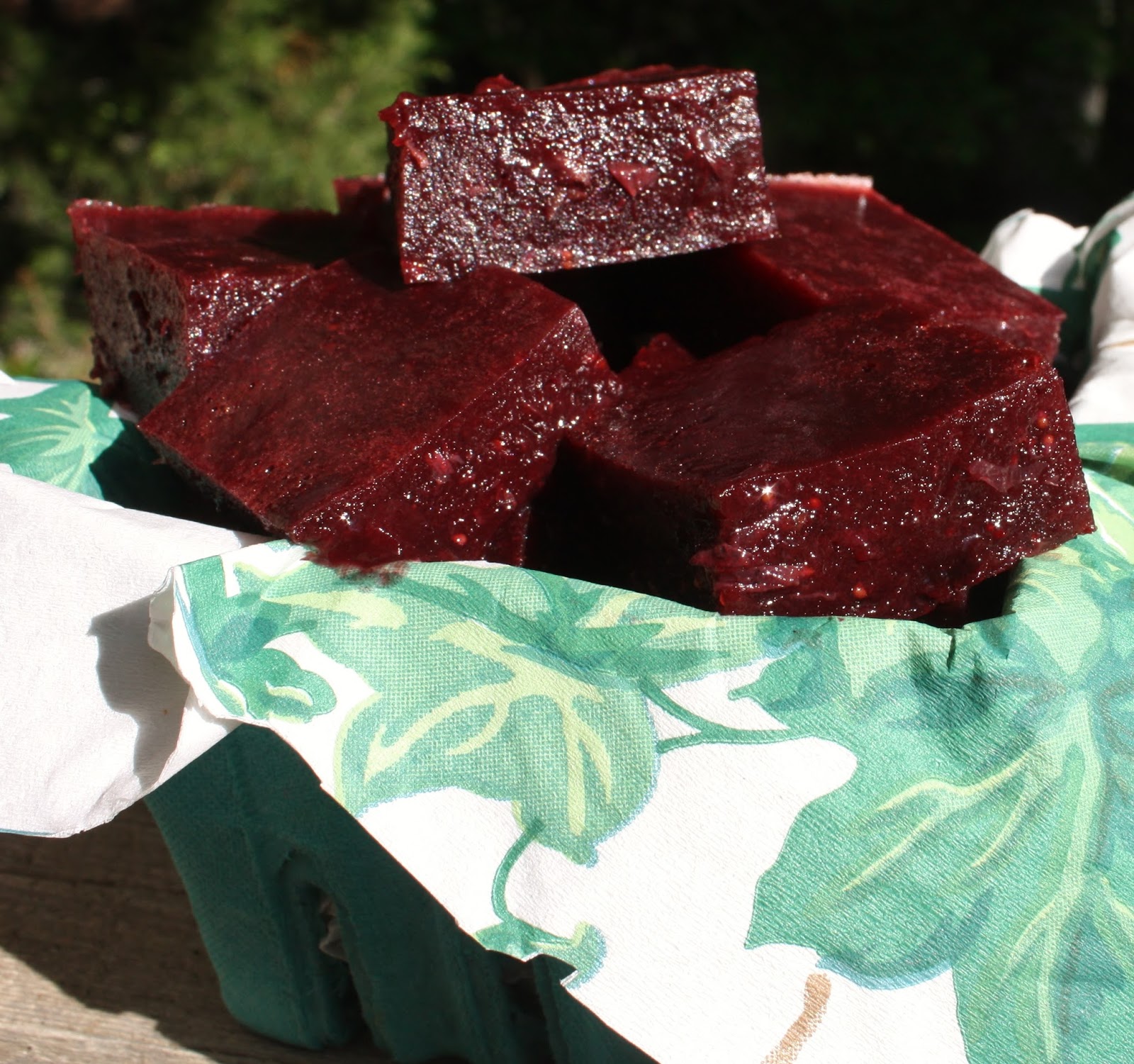Best of Long Island and Central Florida Balsamic Berry Gelatin Gummy