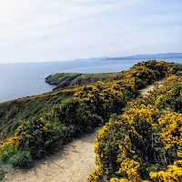 Best Dublin Walks: Howth Cliff Walk