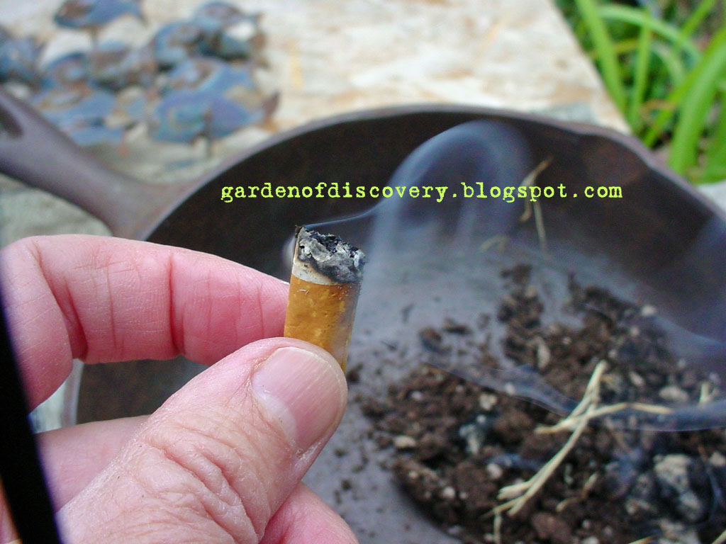 Garden of Discovery Fire In The Hole! Potting Soil Flammability Test