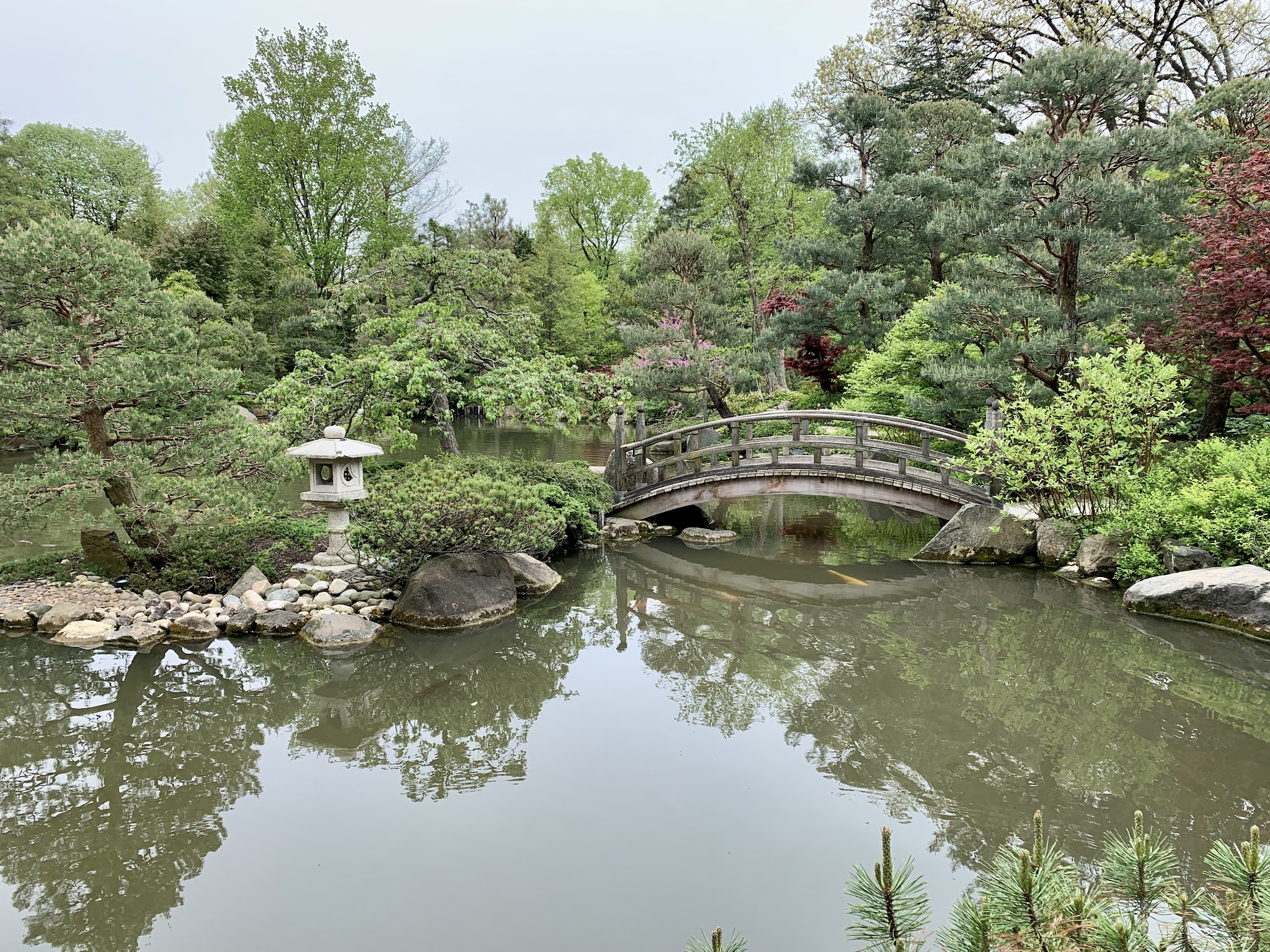 Amy's Creative Pursuits Anderson Japanese Gardens