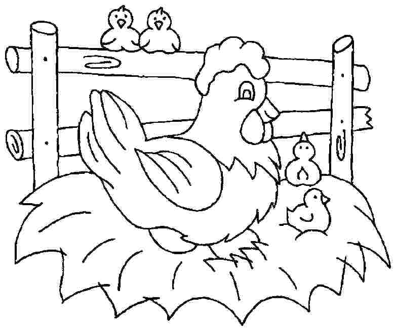 Aneka Gambar Mewarnai Hewan Ayam Untuk Anak Paud Dan Tk Terbaru