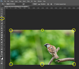 How to Make a New Pattern in Photoshop