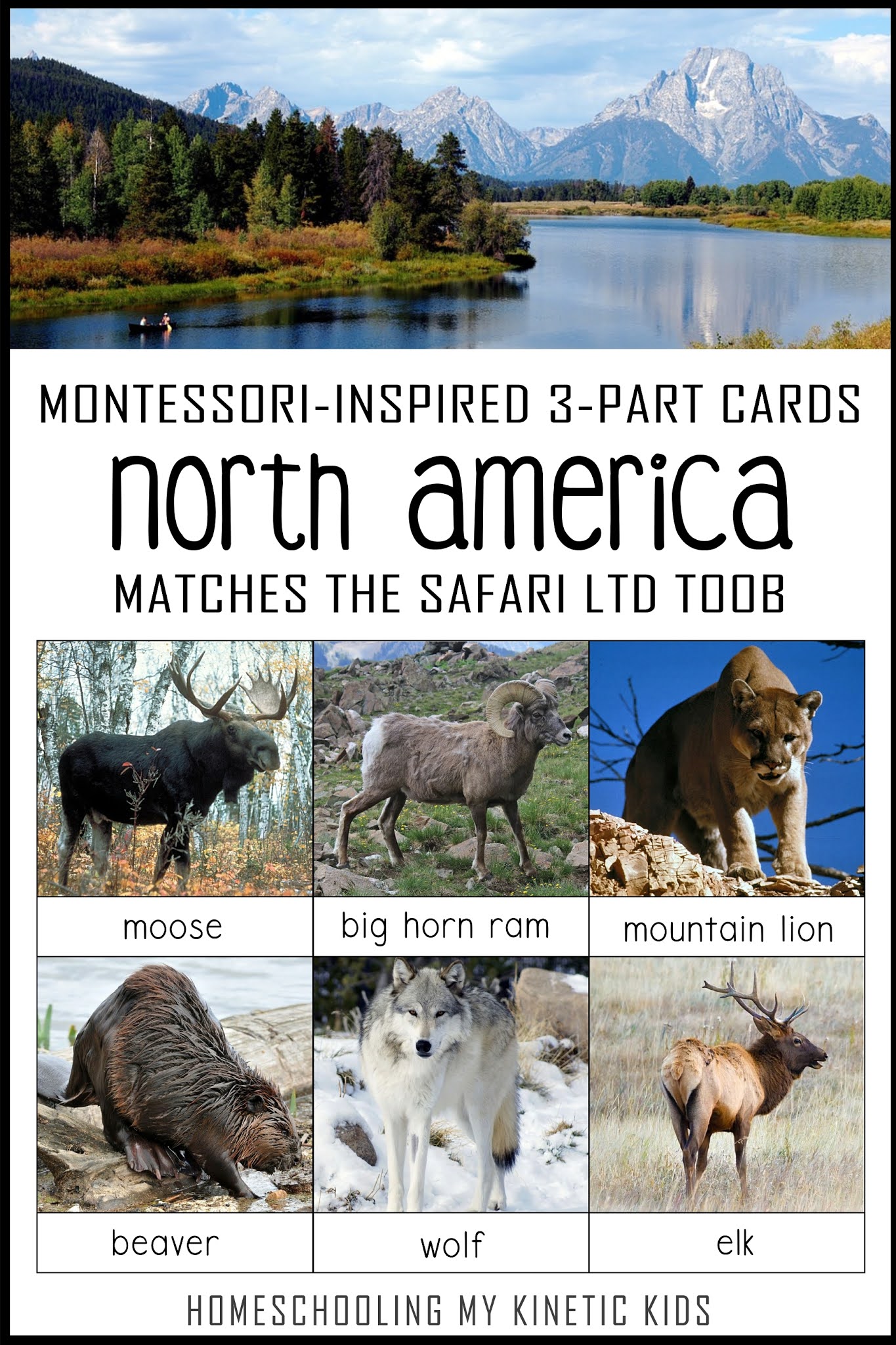 Montessori North America Wildlife 3 Parts Cards with Replicas 