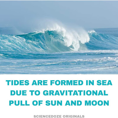 Sea tides facts