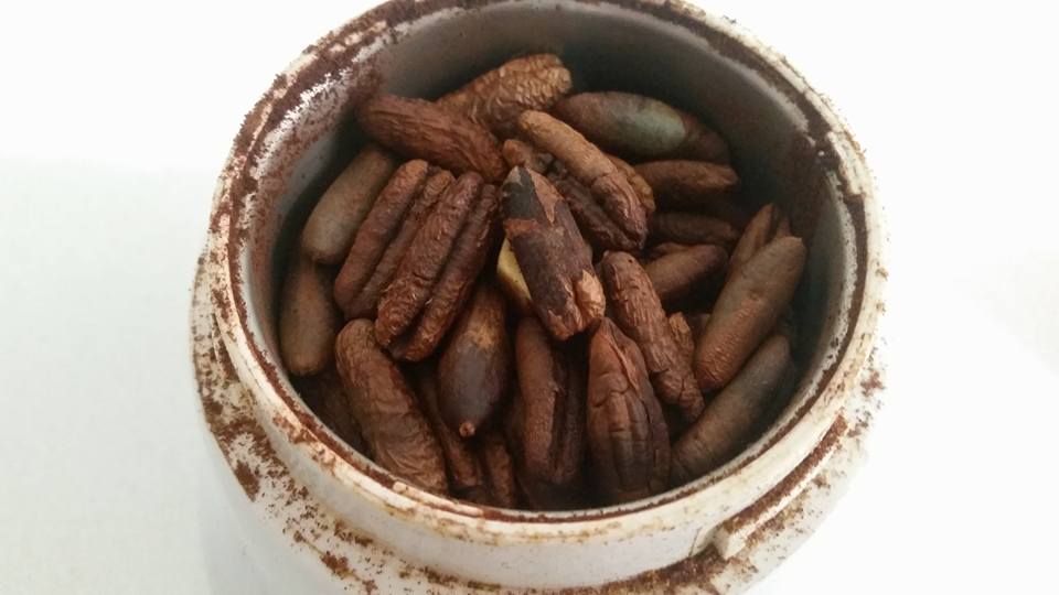 Homemade Date Seed Coffee Substitute Recipe and Instructions