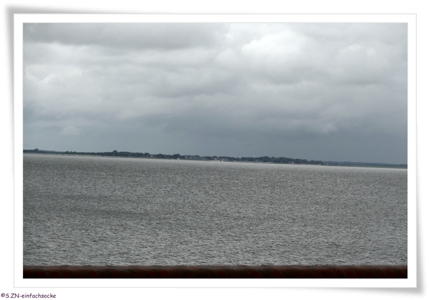 [Hundeblog] Einfach Socke Trotz Regen ist es schön an der Nordsee....