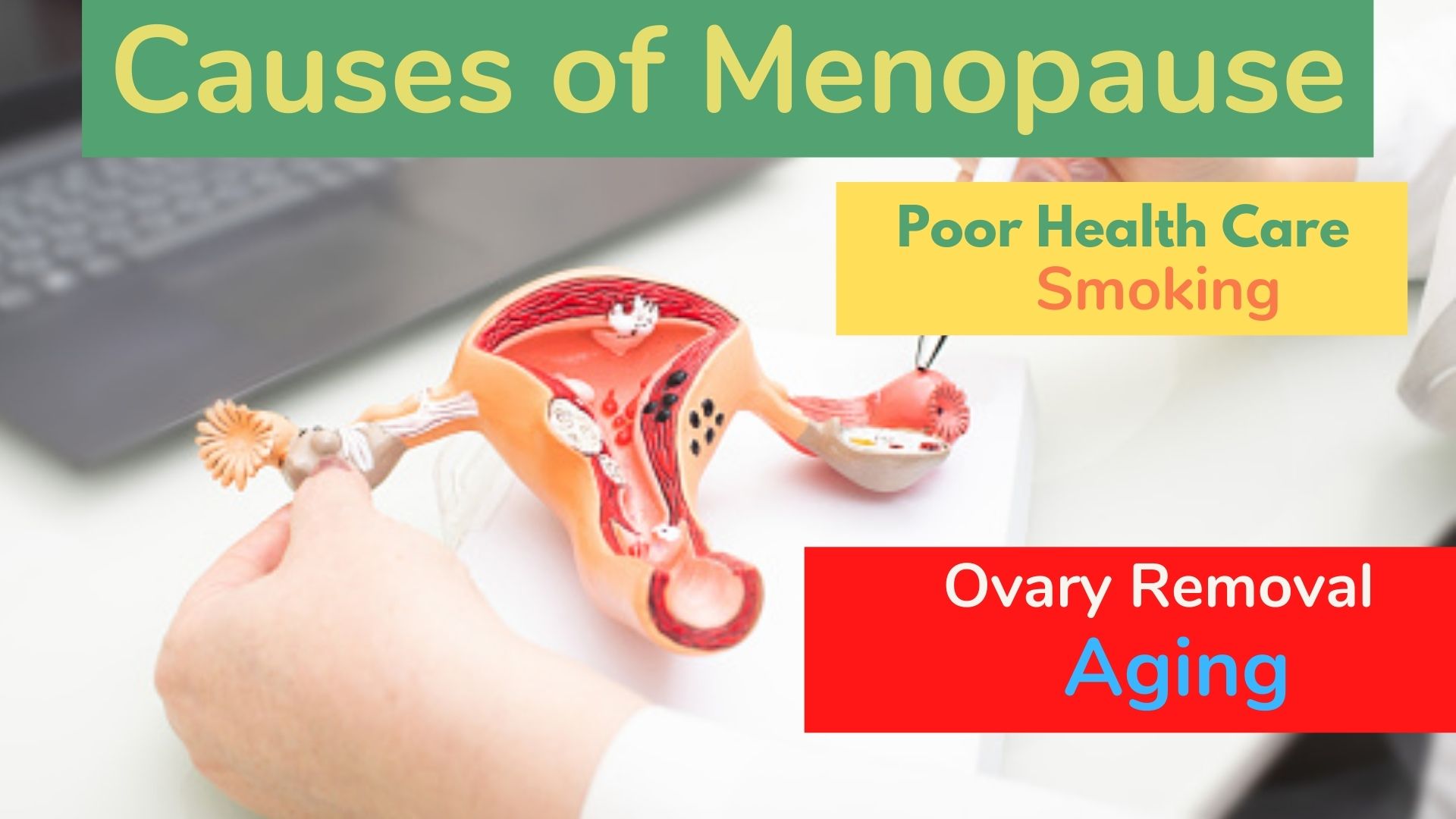The Menopause Mystery Unveiling Age & Causes DGS Health